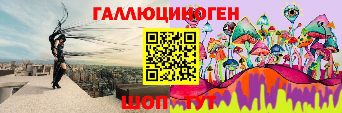 Псилоцибиновые грибы Cubensis Острогожск